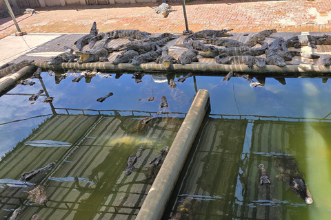Siem Reap Crocodile Farm Tour With Tuk Tuk Transfer