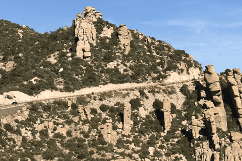 Tucson: 4-Hour Guided Tour of Mount Lemmon