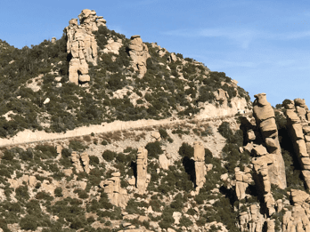 Tucson: 4-stündige geführte Tour zum Mount Lemmon Tucson: 4-stündige geführte Tour zum Mount Lemmon