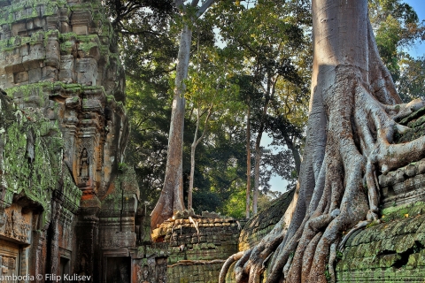Siem Reap: 2-daagse Angkor Sunrise, Banteay Srey en Beng MealeaSiem Reap: Angkor Sunrise, Banteay Srey en Beng Mealea-tour