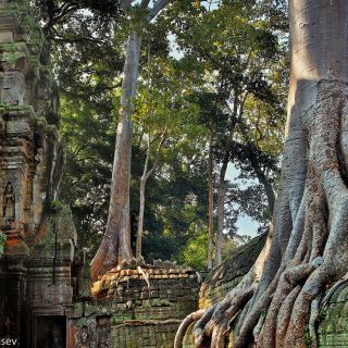 Siem Reap: Angkor Wat Temples & Phnom Kulen Park 3-Day Tour