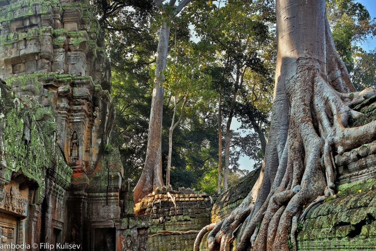 Siem Reap: tour de 3 días por los templos de Angkor Wat y el parque Phnom KulenSiem Reap: Templos de Angkor Wat y Phnom Kulen Park Tour de 3 días