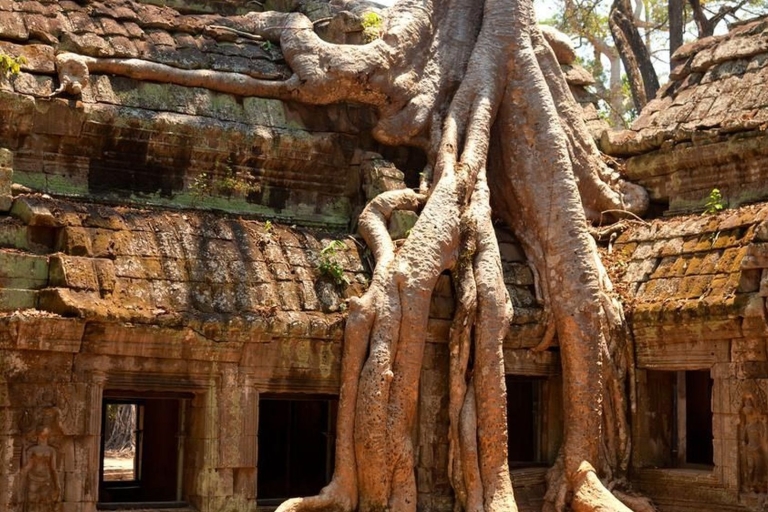 Siem Reap: prywatna 4-dniowa wycieczka Angkor Wat i Phnom KulenWycieczka z parkiem narodowym