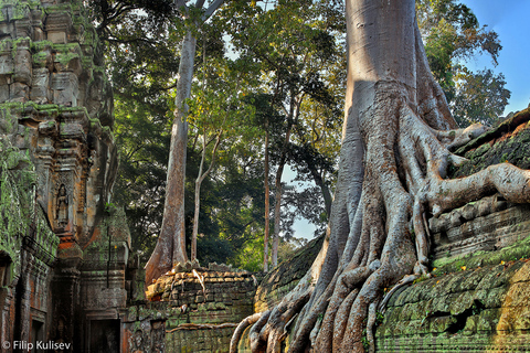 Siem Reap: excursão privada de 1 dia a Angkor Wat com Banteay Srey