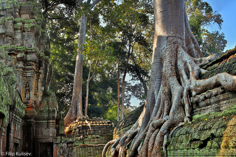 Siem Reap: Prywatna 1-dniowa wycieczka Angkor Wat z Banteay Srey