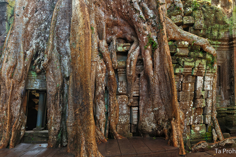 Siem Reap: excursão privada de 1 dia a Angkor Wat com Banteay Srey