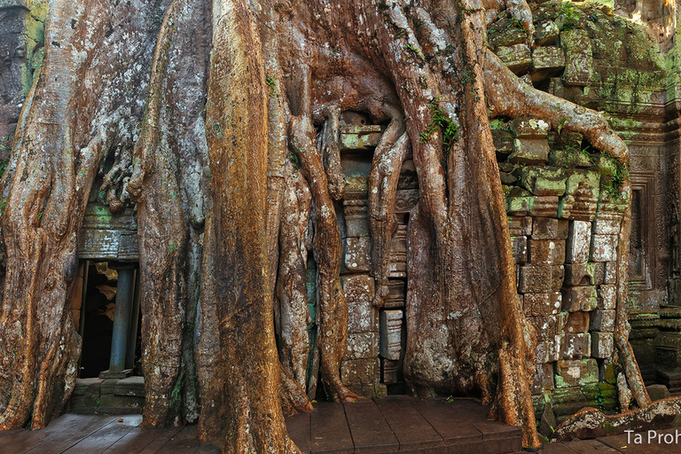 Siem Reap: Prywatna 1-dniowa wycieczka Angkor Wat z Banteay Srey