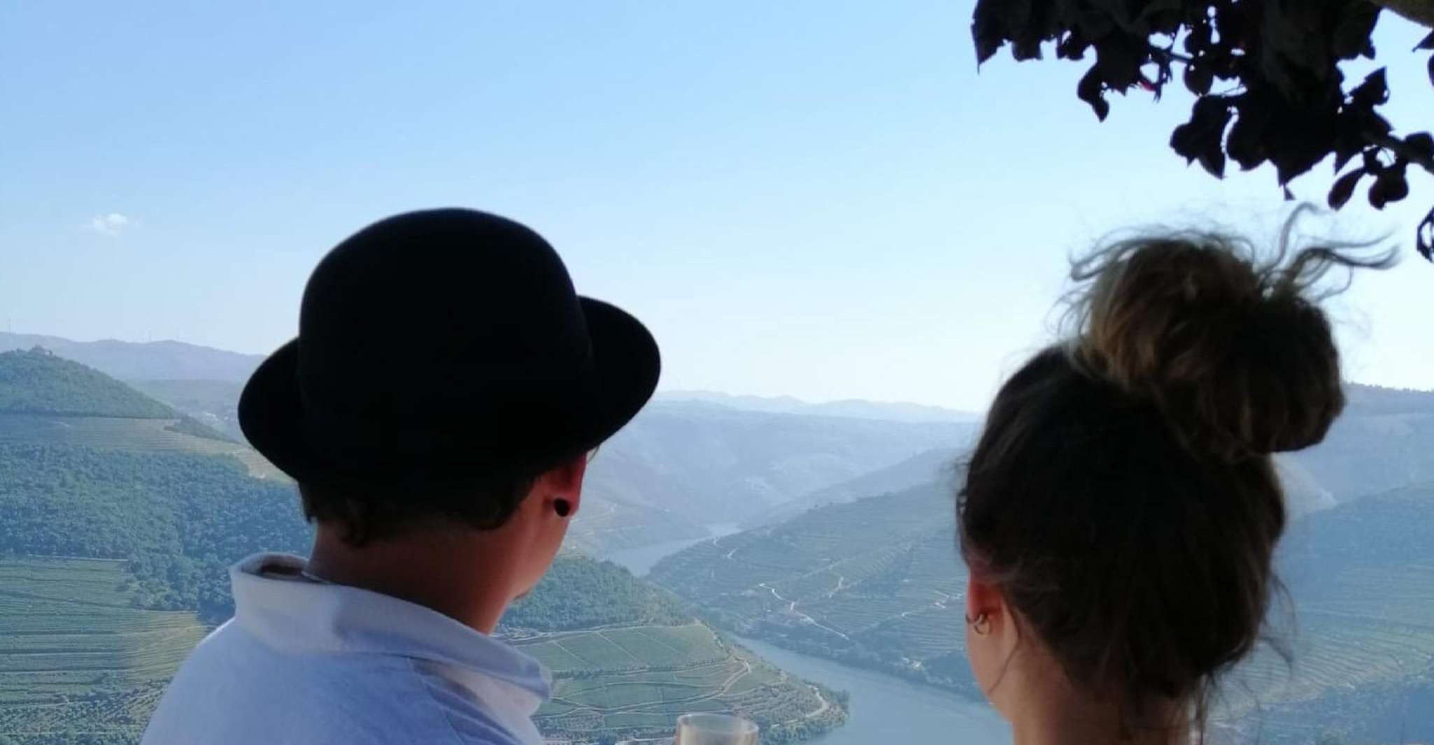 From Peso da Regua, Douro Valley Tour - Housity
