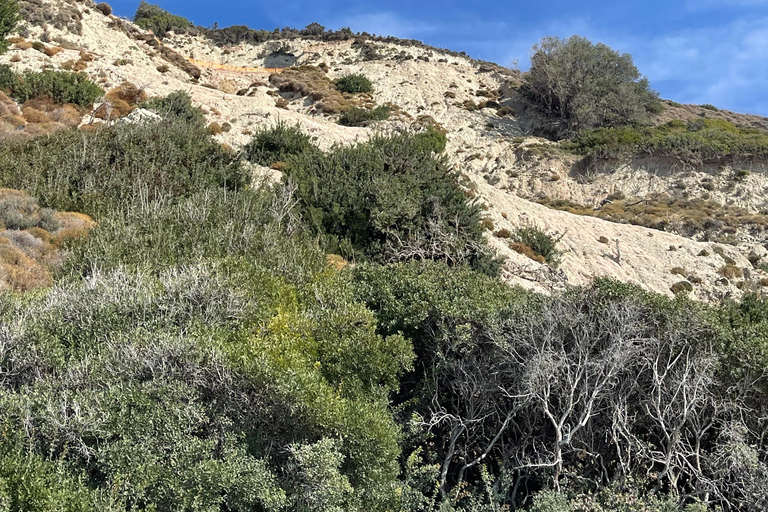 Au départ de Zakynthos : Visite d&#039;une jounée de Céphalonie