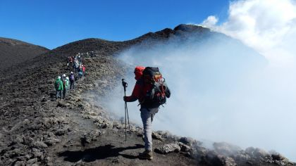Excursion to summit craters with lunch and wine tour - Housity