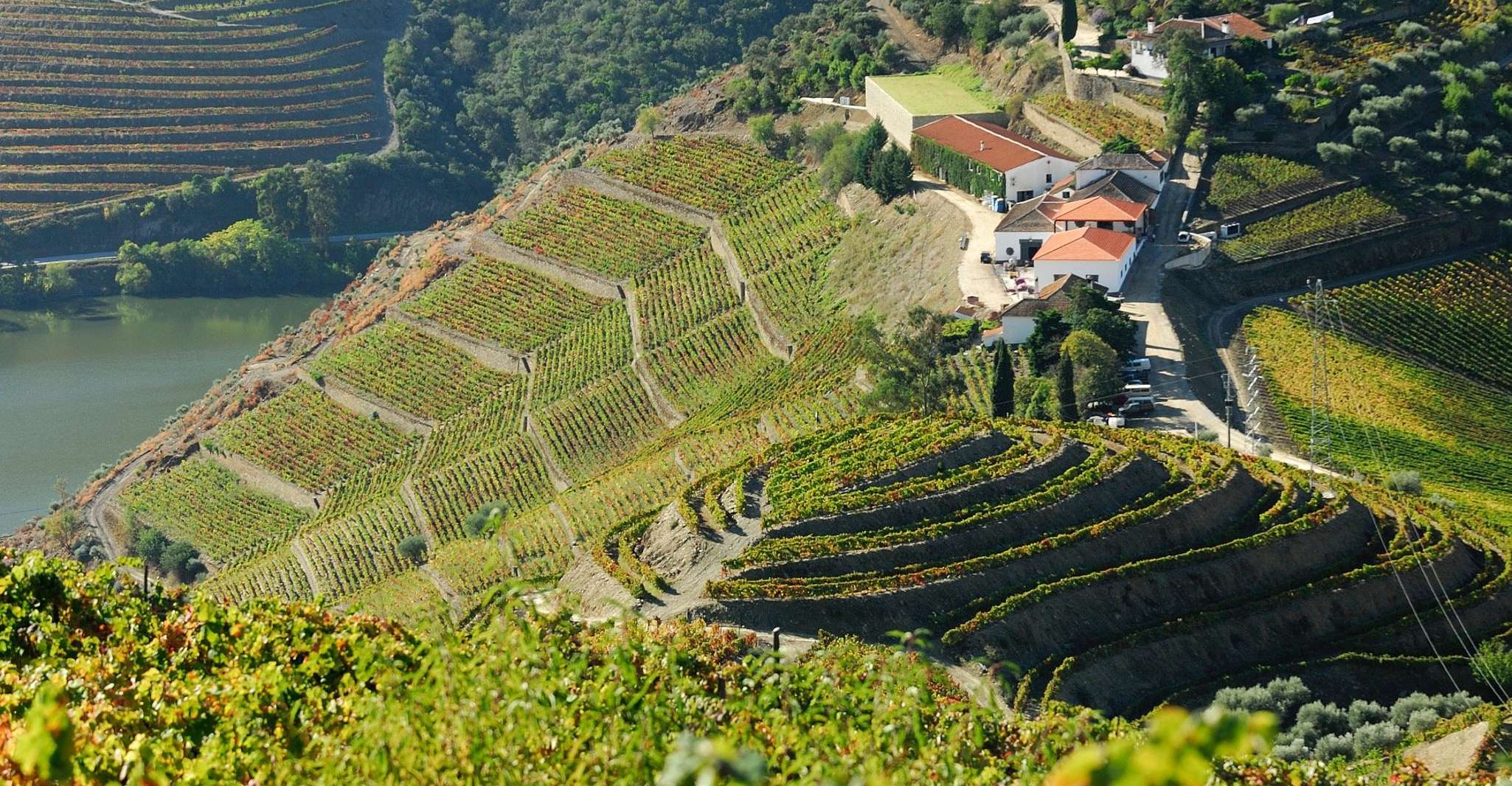 De Peso Peso, Douro Valley Tour - Housity