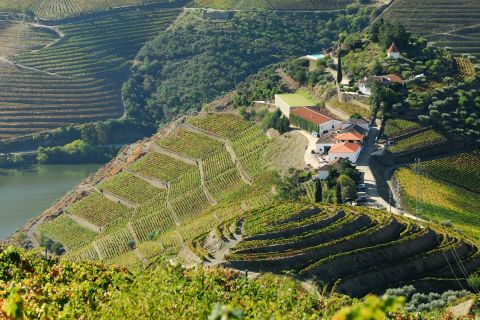 Depuis Peso da Régua : vin et croisière le long du Douro