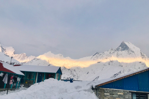 Au départ de Katmandou :Trek de luxe de 11 jours au camp de base de l'AnnapurnaAu départ de Katmandou :Luxe 10 nuits 11 jours Camp de base de l'Annapurna