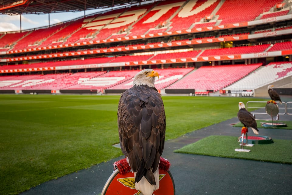 Lisbon: Luz Stadium Tour and SL Benfica Museum Ticket