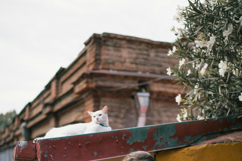 Tbilisi: Couples Romantic Walking Tour at Local FavoritesIn English - Private Tour ***3 HOURS***