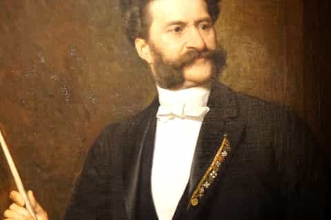 Vienna: Meet Strauss Private Guided Walking Tour