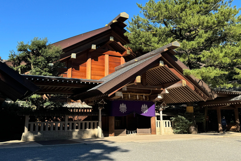 Nagoya: Private Day Tour to Toyota Museum, Castle &amp; Shrines