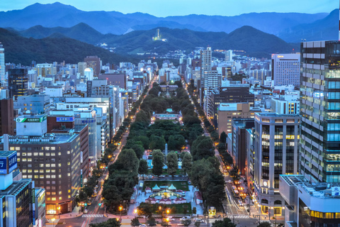 Sapporo: Private Car Tour with English/Japanese Guide & Car