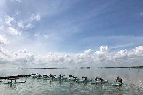 Desde Tulum: Clase de SUP Yoga en Sian Ka'an
