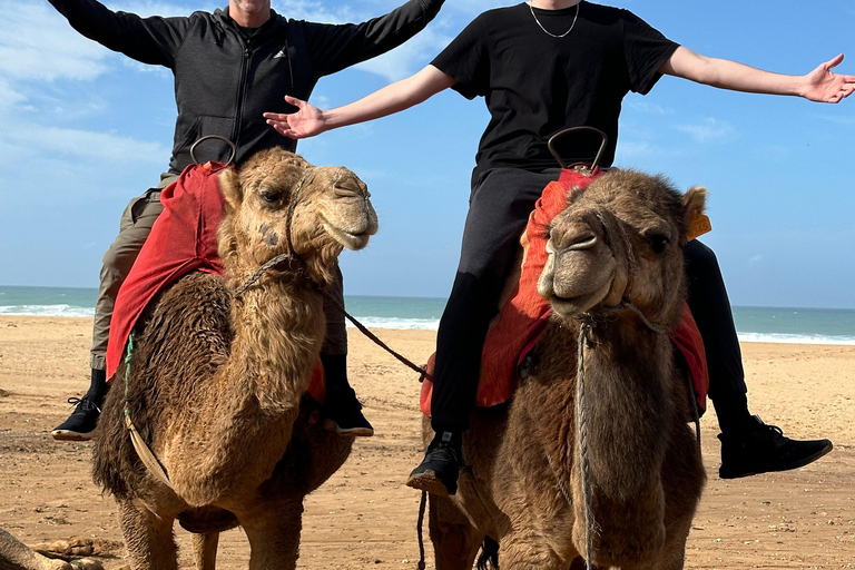 Desde Tarifa, excursión de 2 días a Tánger, Assilah, ChefchaouenDesde Vejer y Tarifa, excursión de 2 días a Tánger, Assilah, chawn