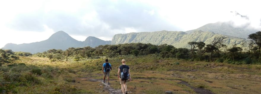 Randonnée sur la piste des léopards de Knuckles depuis Kandy