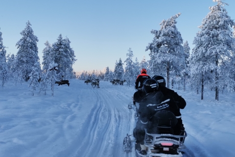 Levi: półdniowa przygoda na skuterze śnieżnym