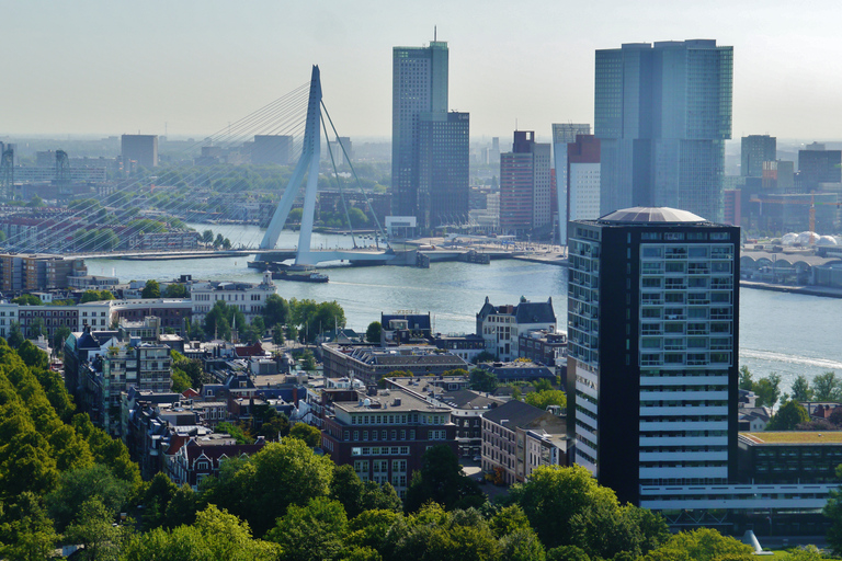 Rotterdam : visite privée à vélo avec un guide