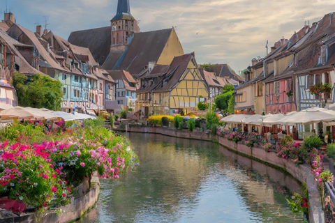 From Zurich Full-day private tour Basel and Colmar