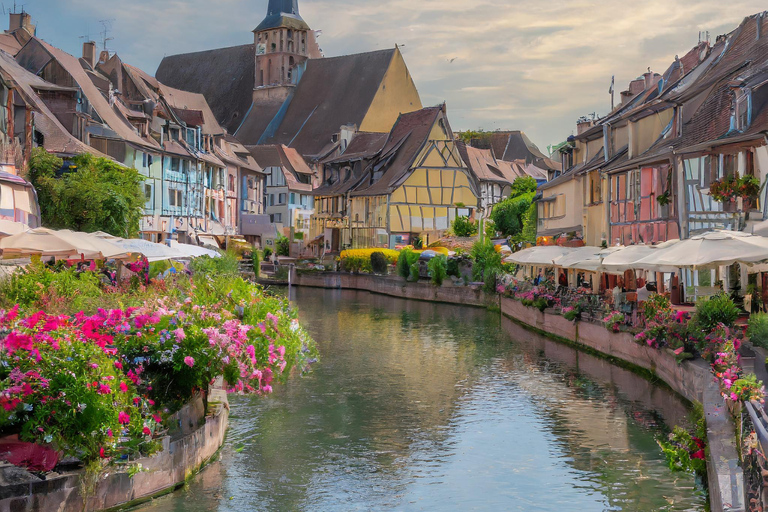 From Zurich Full-day private tour Basel and Colmar