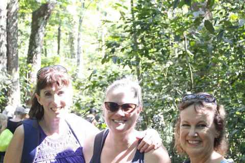 Wycieczka półdniowa do wioski Nalesutale z wędrówką po lesie deszczowymOdbiór z hoteli Fiji Marriott/Lautoka/Lautoka Wharf