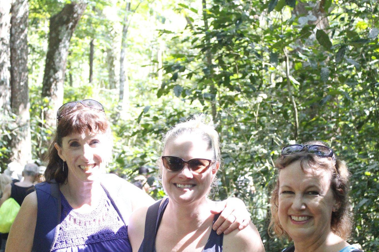 Wycieczka półdniowa do wioski Nalesutale z wędrówką po lesie deszczowymOdbiór z hoteli Fiji Marriott/Lautoka/Lautoka Wharf