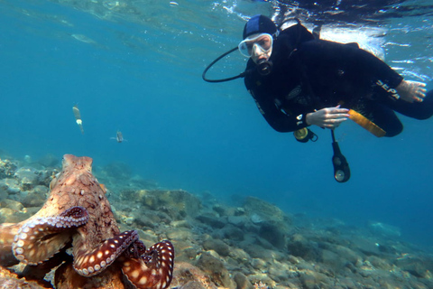 Open Water Diver Course + Advanced Open Water Diver Course Standard Option