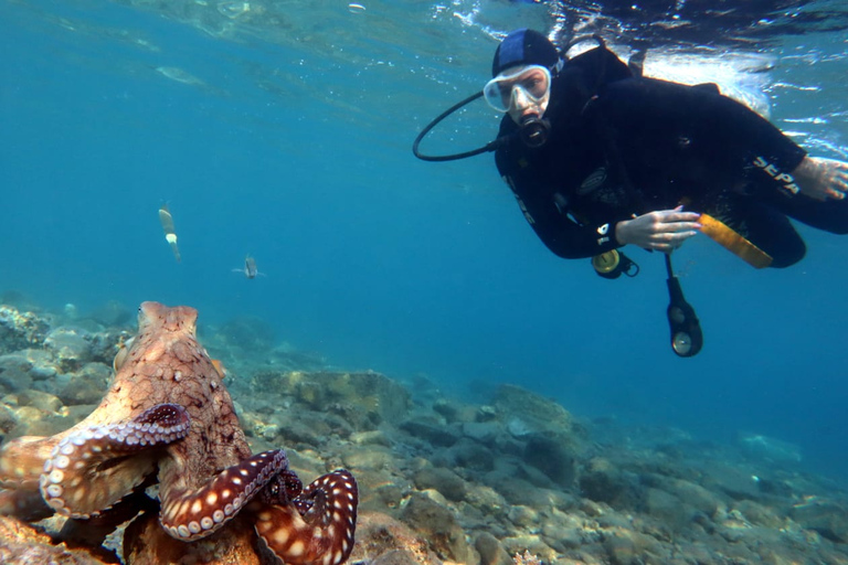 Open Water Diver Course + Advanced Open Water Diver Course Standard Option