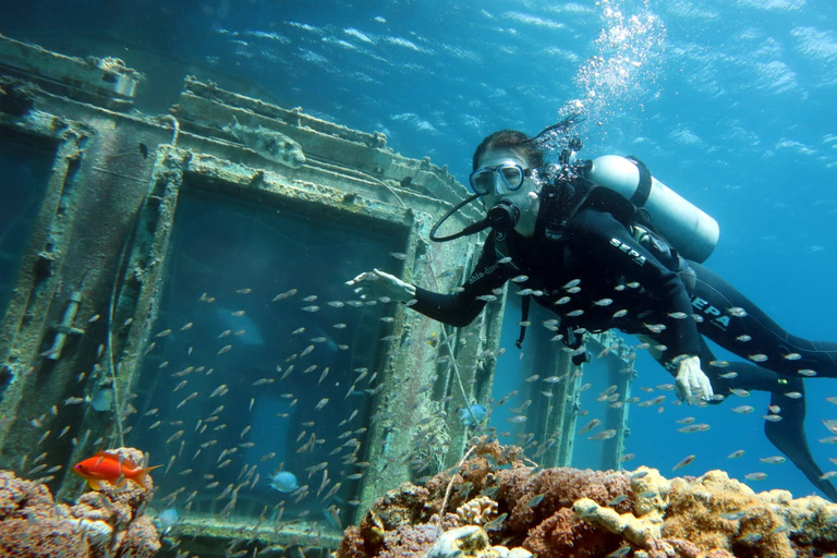 Open Water Diver Course + Advanced Open Water Diver Course Standard Option