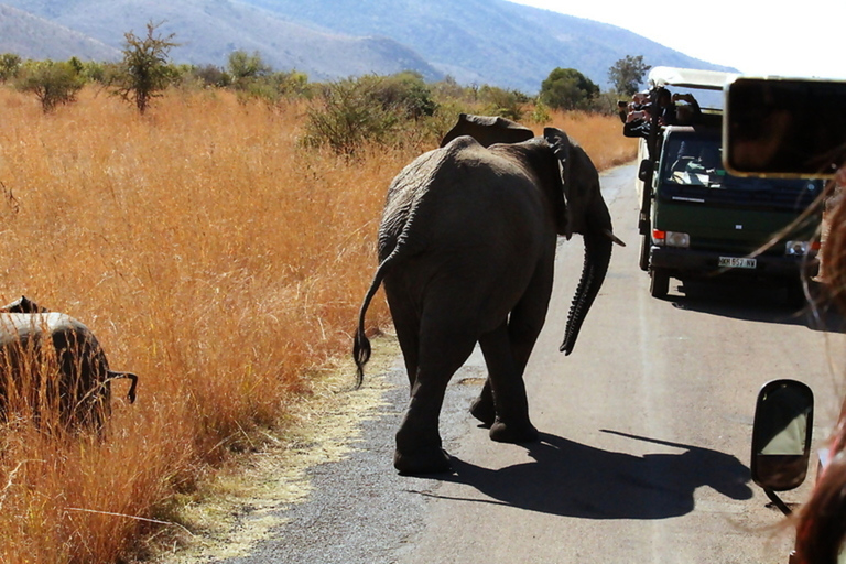 10-daagse Overland Tour-Johannesburg en KaapstadLuchthaven Optie