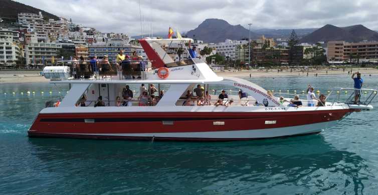 Los Cristianos Eco Yacht Whale Watching Cruise with Swim GetYourGuide