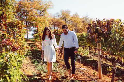 From Cape Town: Cape Winelands Full-Day Private Tour