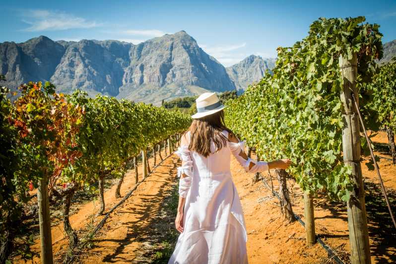 From Cape Town Cape Winelands Full Day Private Tour Getyourguide 0825