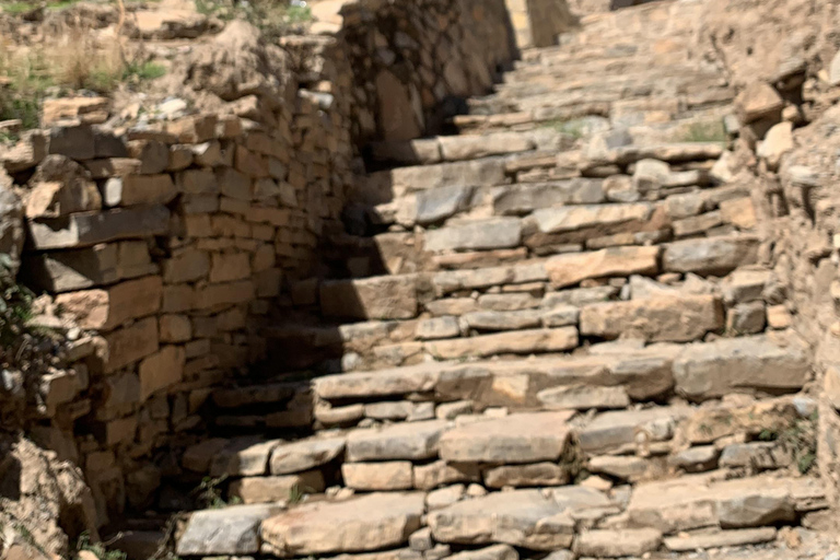 Nizwa: Nizwa Fort and Birkat Al Mouz Guided Tour