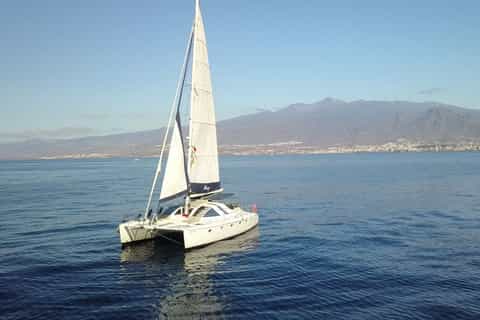 Tenerife: 3-Hour Whale Watching Experience with Drinks