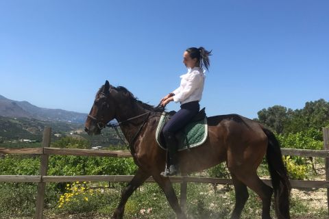 Heraklion: Finikia Horse Riding in the Cretan Mountains