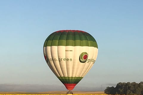 From Sevilla: Hot Air Balloon Ride to Huelva