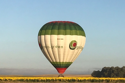 From Sevilla: Hot Air Balloon Ride in Huelva