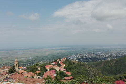 Kakheti: Indywidualna wycieczka do Sighnaghi z Tbilisi