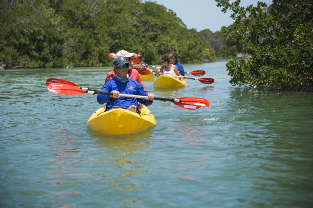 Miami: Excursión a Cayo Hueso con snorkel y kayak