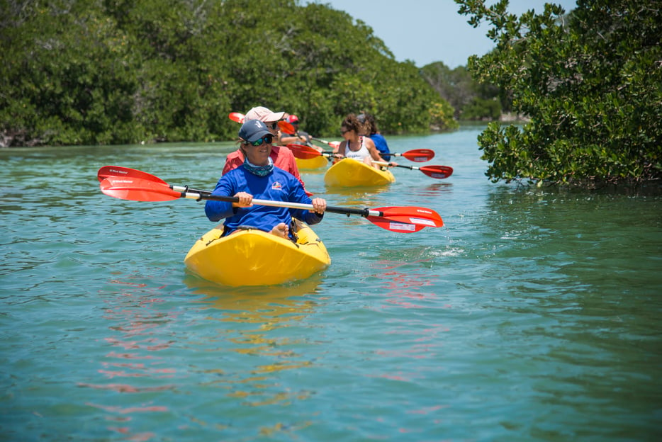 Miami : Visite de Key West avec plongée en apnée et kayak