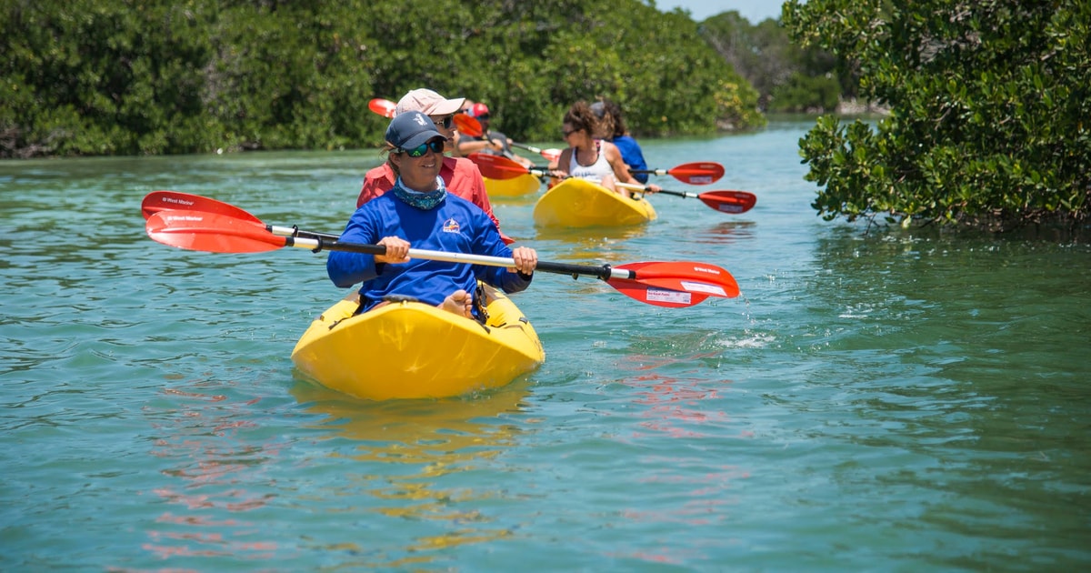 kayaking tours miami