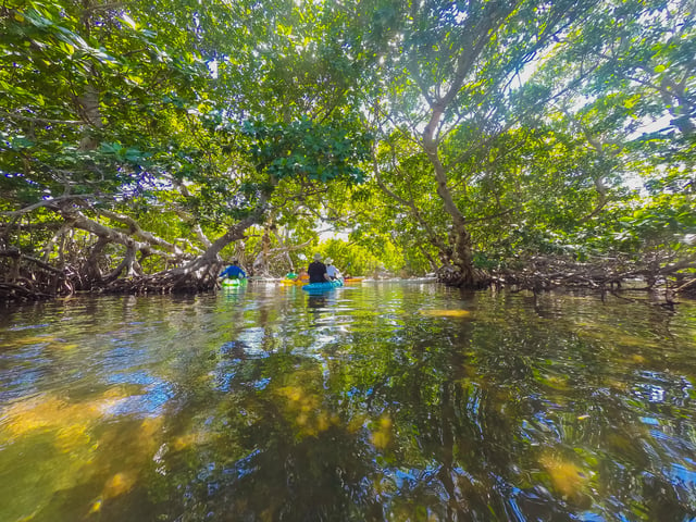 Miami: Key West Tour with Snorkeling &amp; Kayaking