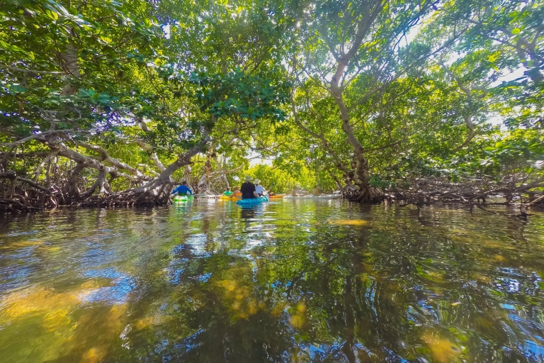 Miami: visite de Key West avec plongée en apnée et kayak