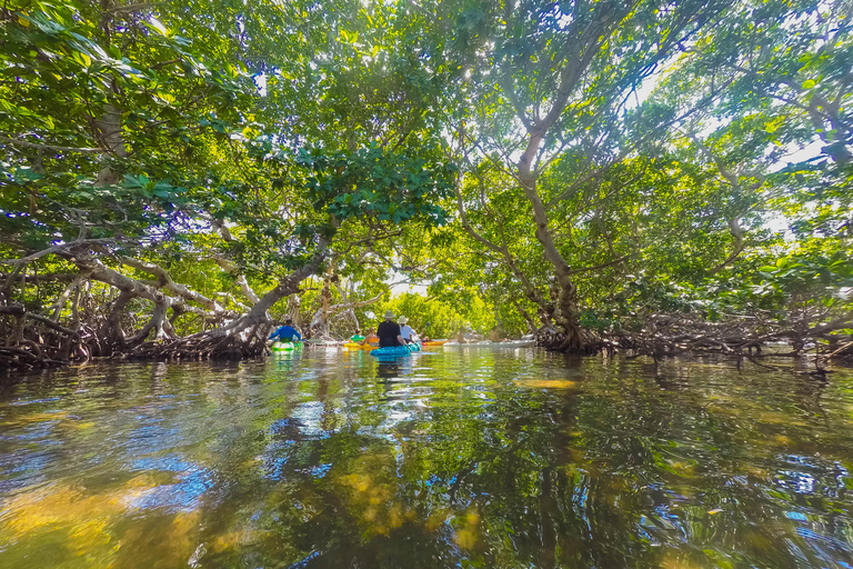 Miami: Key West Tour met snorkelen en kajakken